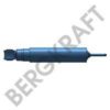 BERGKRAFT BK6780712 Shock Absorber